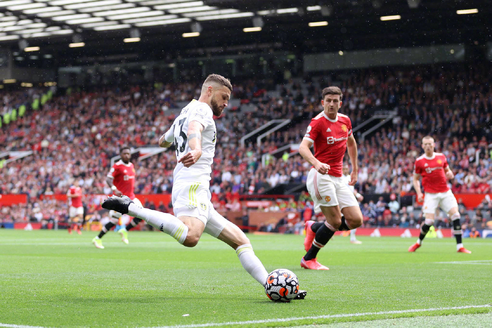 布莱顿则需 布莱顿则需